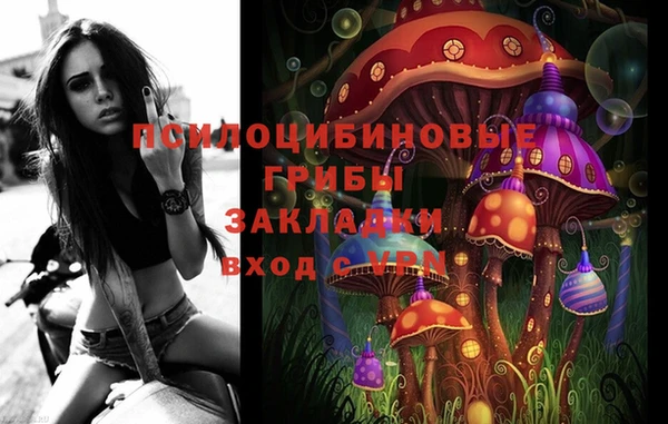 дживик Аркадак