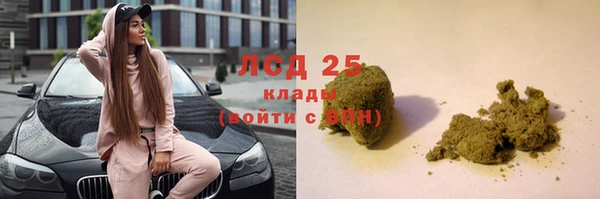 дживик Аркадак