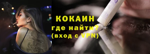 дживик Аркадак