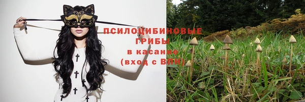 а пвп мука Арсеньев