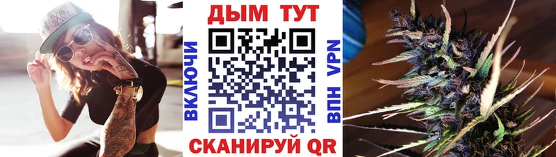 darknet состав  Шебекино  Бошки марихуана ГИДРОПОН 